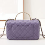 Chanel Mini Flap Bag With Top Handle AS4924
